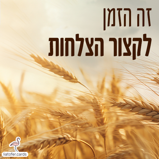 כרטיסי חג שבועות דיגיטליים מעוצבים אונליין – מכל קטגוריה שתרצו. הוסיפו טקסט אישי ושלחו ברכה ייחודית, מקורית וצבעונית לכל אירוע בלחיצת כפתור.