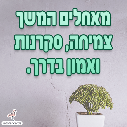 ברכה מעוצבת למחצית: "מאחלים המשך צמיחה, סקרנות ואמון בדרך". מסר מעצים וחיובי להמשך תהליך הלמידה, מתאים לצוותים חינוכיים, מורים, הורים ותלמידים. עיצוב מקורי של ליאת עופר | liat ofer.